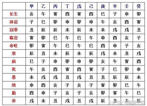 長生十二表|八字十二長生解讀——長生